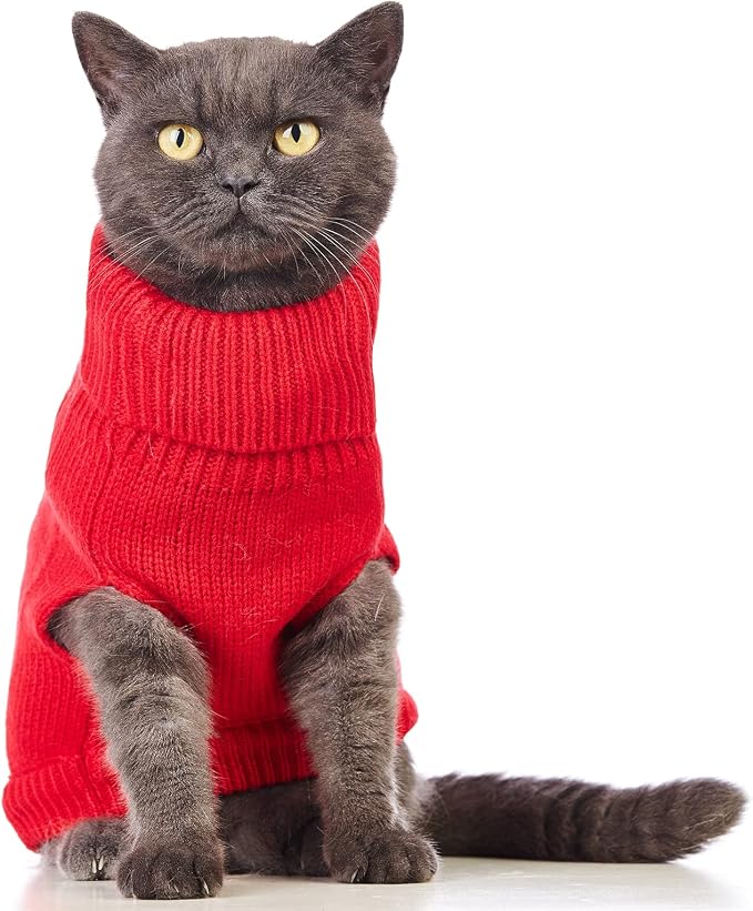 Stretchy Cat Sweater - Image 2