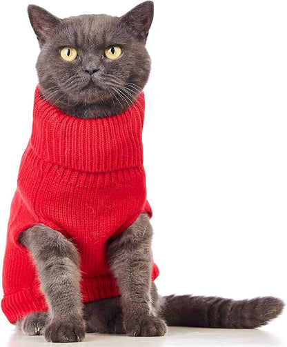 Stretchy Cat Sweater - Image 2