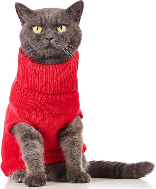 Stretchy Cat Sweater - Image 2