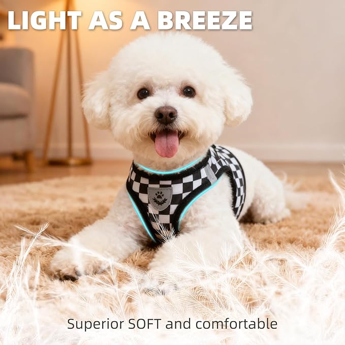 PUPTECK Adjustable Dog Harness Collar and Leash Set Step in No Pull Pet Harness - Image 2