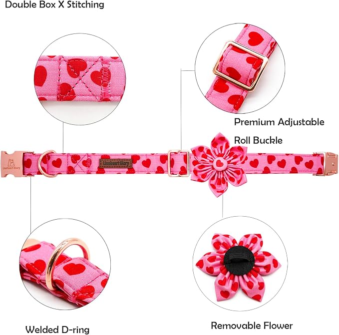 Lionheart glory Valentine's Day Dog Collar - Image 2