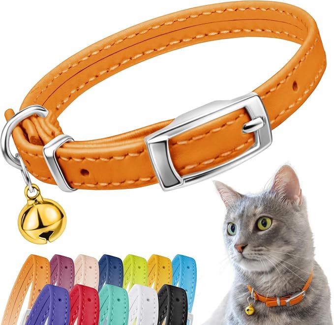CollarDirect Leather Cat Collar, Kitten Collar by CollarDirect