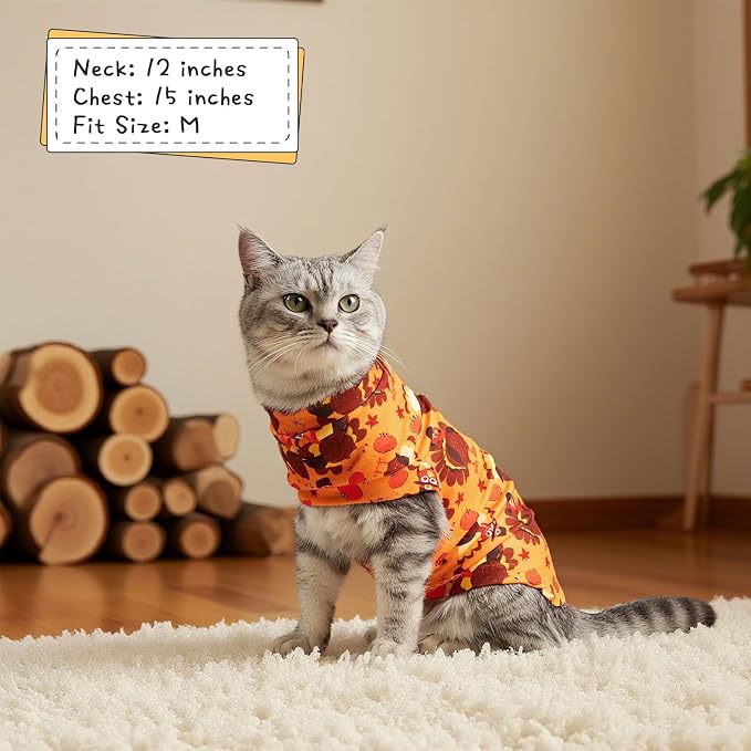 EXPAWLORER Thanksgiving Cat Sweater - Image 5
