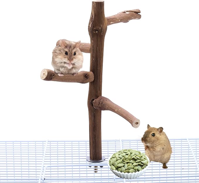 Bird Perch Stand Toy, Natural Grapevine Wood Parrot Perch Bird Cage Branch - Image 6