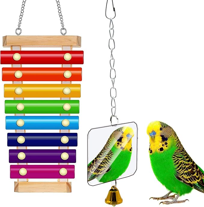 Bird Xylophone with Mirror & Bell Accessories by Fejapa