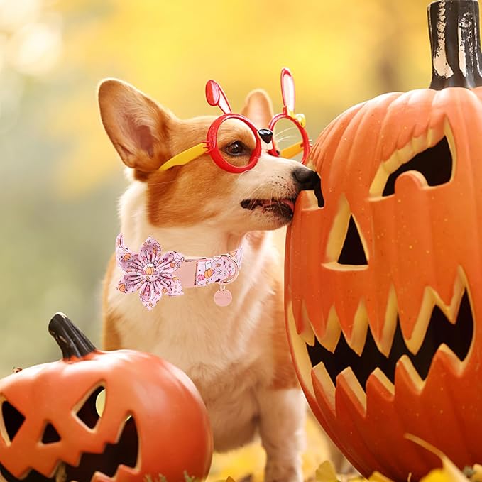 Halloween Dog Collar With Flower, Fancy Bowtie Gift - Image 6