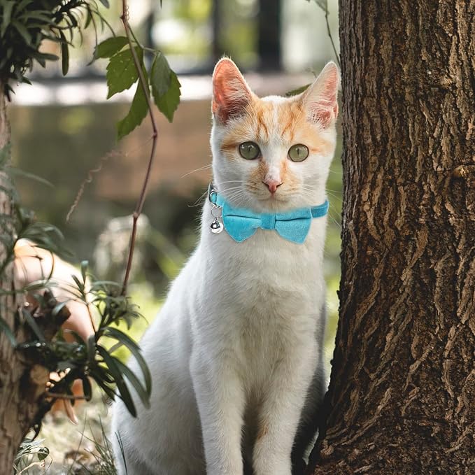 Sliverdew 2 Pcs Velvet Cat Bow Tie Collar Breakaway Cat Collar - Image 6