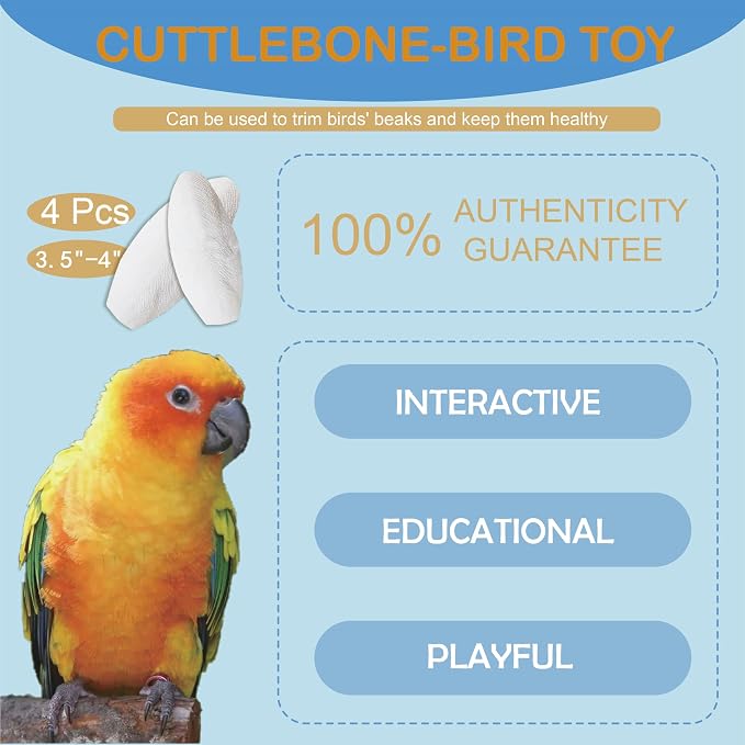 Jmxu's 3.5"-4" Cuttlebone for Birds Parakeets, Cuddle Bone - Image 3