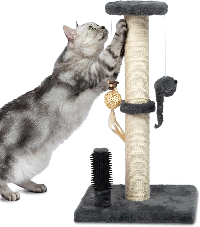 Best Pet Supplies Catify Cat Scratcher, Fun Interactive Scratchers, Claw Safe by BestPetSuppliesLLC