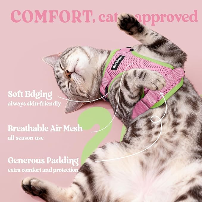 rabbitgoo Cat Harness and Leash - Image 4