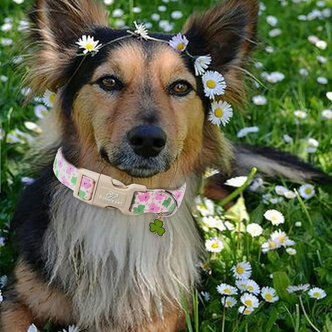 St Patricks Day Dog Collar for Medium Dogs - Image 2