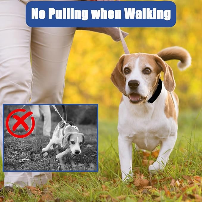 Prong Training Collar for Dogs, Rotating Ring Welding, Adjustable Dog Training - Image 6