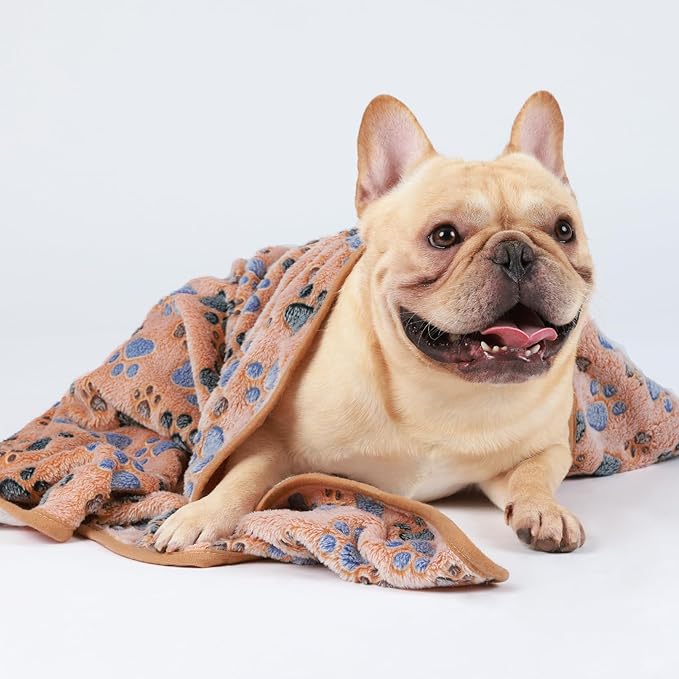 Luciphia 1 Pack 3 Blankets Super Soft Fluffy Premium Fleece Pet Blanket Flannel - Image 5