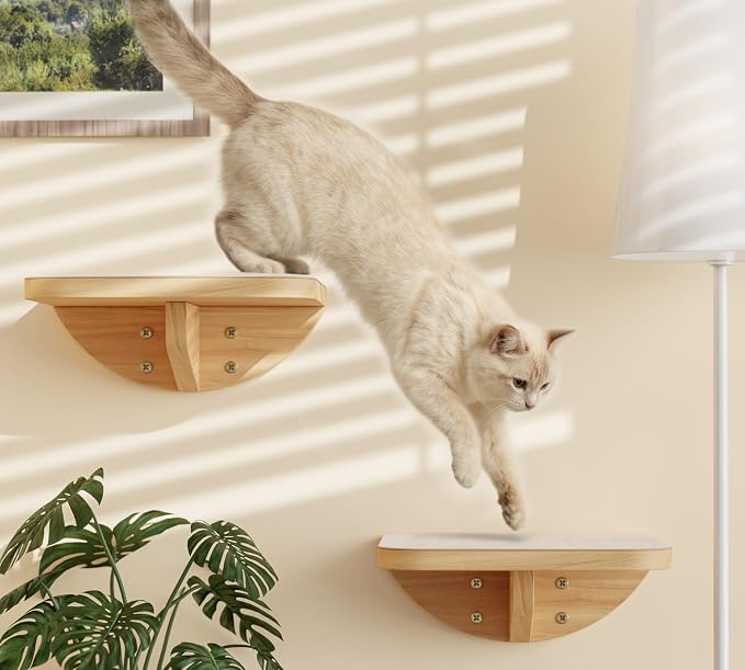 Cat Window Perches, Curved Cat Wall Beige Bed and 2 Floating Wall Steps - Image 8