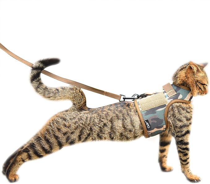 Tactical Kitty Harness and Leash by Yizhi+Miaow