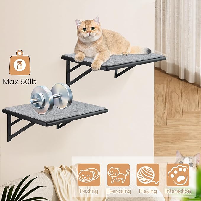 Cat Wall Shelves Set of 2, Wood Cat Shelves - Image 5
