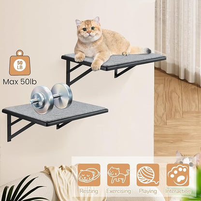Cat Wall Shelves Set of 2, Wood Cat Shelves - Image 5