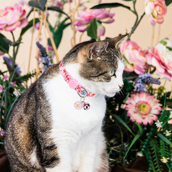 SCENEREAL Cute Cat Collars - Image 7
