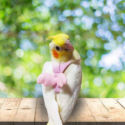 Dnoifne Parrot Harness and Leash, Adjustable Training Design Anti-Bite - Image 3