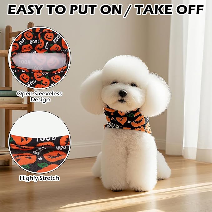 EXPAWLORER Cat Halloween Sweater - Image 4