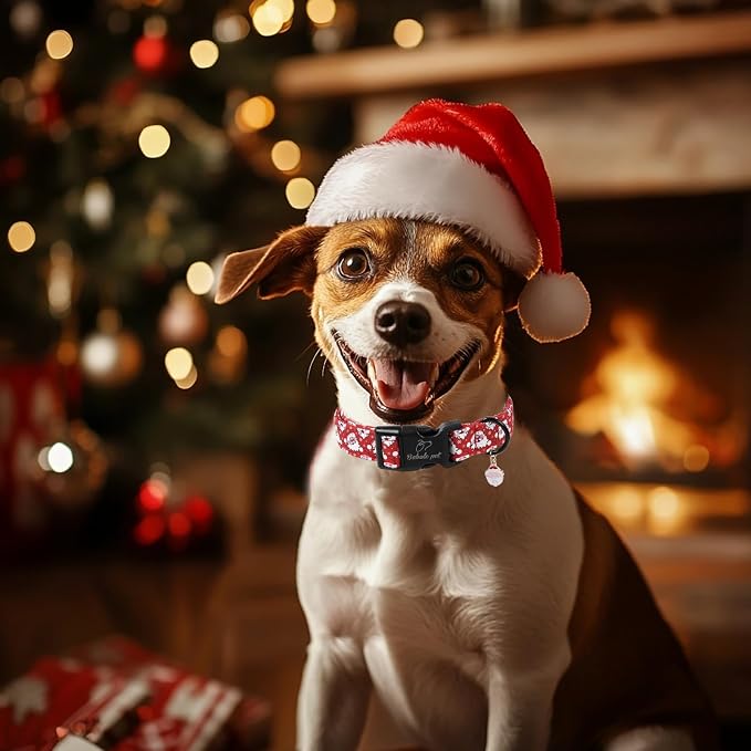 Christmas Dog Collar - Image 6