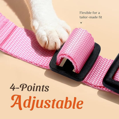 Dooradar Cat Harness and Leash Set, Escape Proof Safe Adjustable Kitten Vest - Image 3