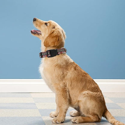 Reflective Dog Collar, Adjustable Soft Neoprene Padded Nylon Pet Collars - Image 2