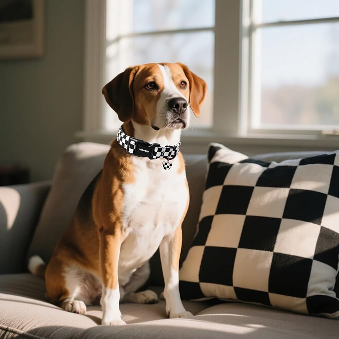 DOGWONG Checkered Dog Collar - Image 5