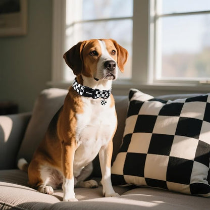 DOGWONG Checkered Dog Collar - Image 5