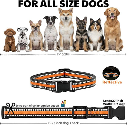 Dog Training Collar Replacement and Shock Collar Strap - Image 2