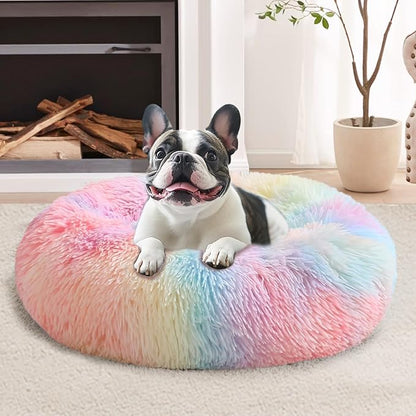 JOLLYVOGUE Calming Dog Bed for Small Dogs by JOLLYVOGUE