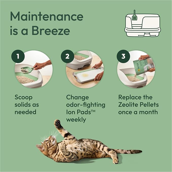 Purina Tidy Cats Litter System, Non-Clumping, Breeze XL All-in-One Odor Control - Image 6