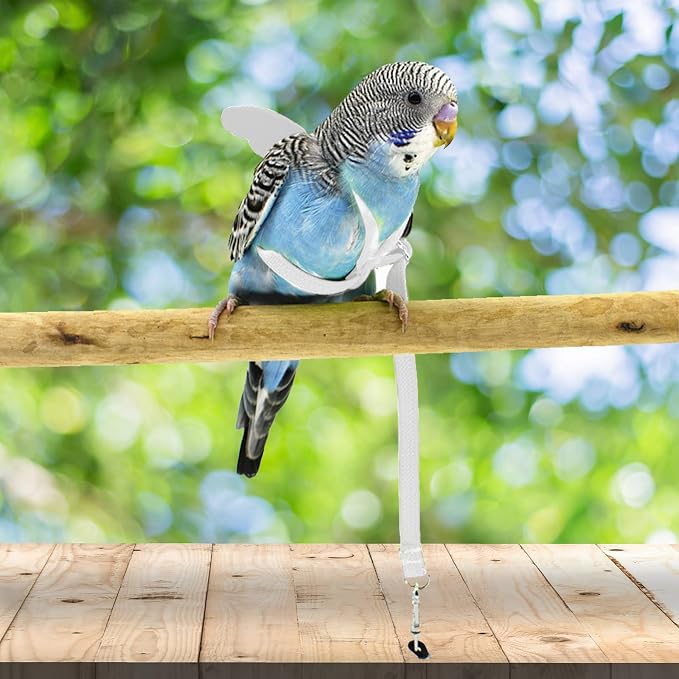 Pet Parrot Bird Harness and Leash, Adjustable Training Design Anti-Bite - Image 2
