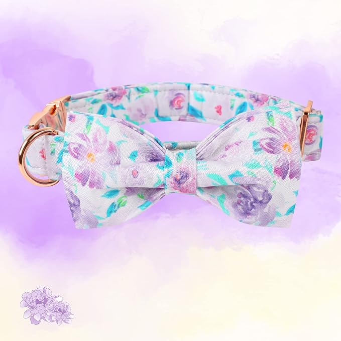 Lionheart glory Purple Dog Collar, Adjustable Dog Collar - Image 2