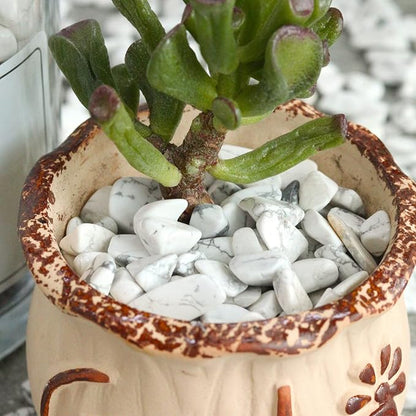1lb Howlite Aquarium Gravel Rocks Natural Tumbled Healing Crystal Chips Bulk - Image 5