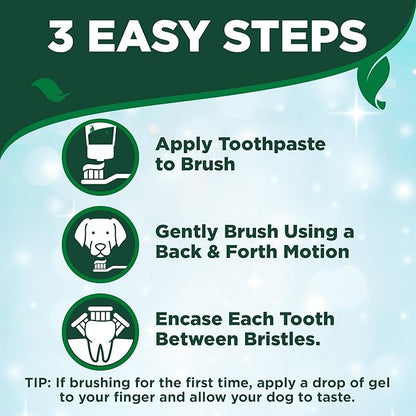 Vet's Best Dog Toothpaste & Dog Toothbrush, Dental Kit, Plaque Remover - Image 6