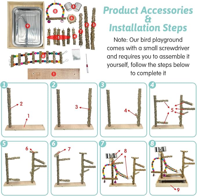 PINVNBY Bird Playground Natural Wood Bird Play Stand - Image 5
