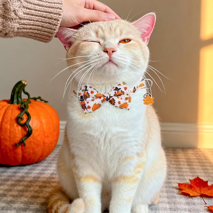 SCENEREAL Fall Thanksgiving Cat Bandana Collar - Image 6