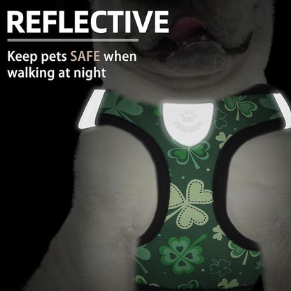 PUPTECK Adjustable Dog Harness Collar and Leash Set Step in No Pull Pet Harness - Image 5