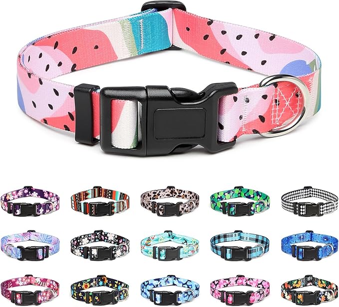 Mercano Adjustable Dog Collar by Unknown