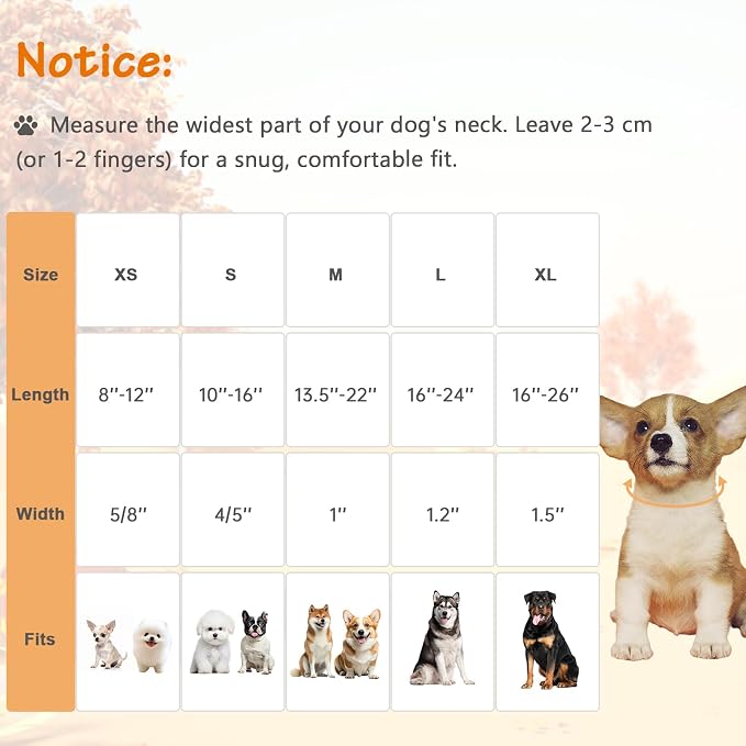 Cotton Fall Dog Collar, Halloween Dog Collars - Image 2