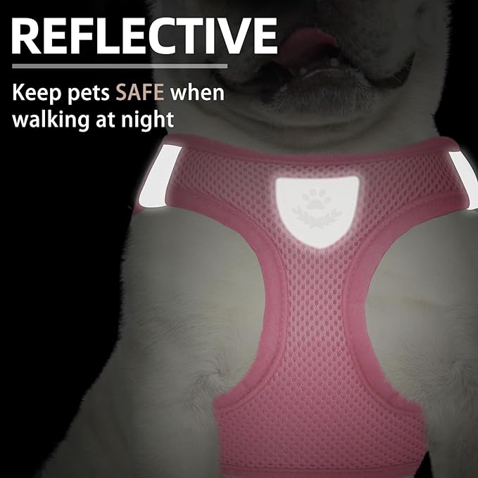 PUPTECK Adjustable Dog Harness Collar and Leash Set Step in No Pull Pet Harness - Image 5