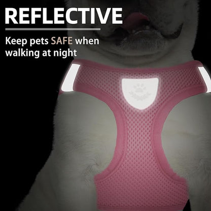 PUPTECK Adjustable Dog Harness Collar and Leash Set Step in No Pull Pet Harness - Image 5