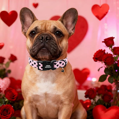 Unique Style Paws Valentine Dog Collar Plastic Buckle - Image 4