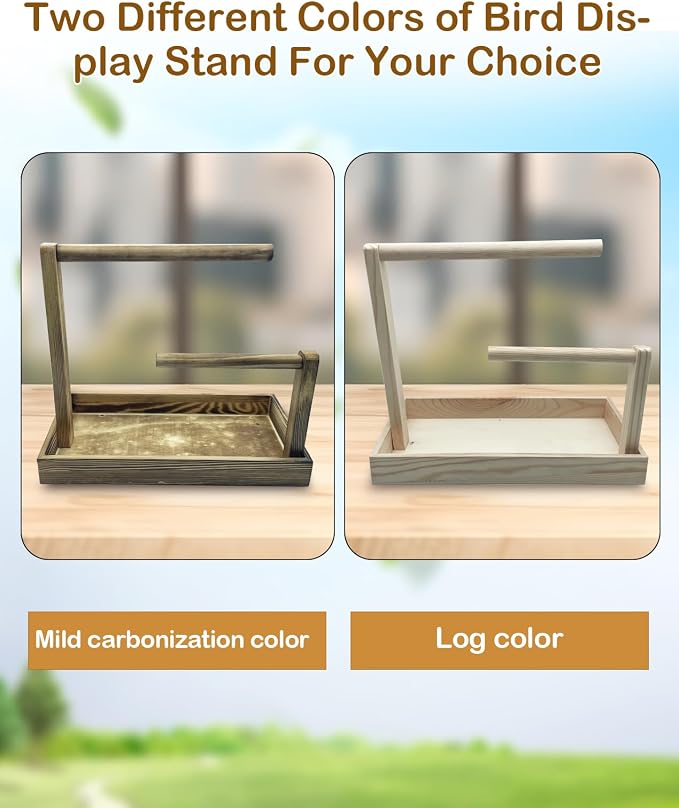 8 Pcs Small Bird Training Stand Set Portable Tabletop Birds Perch Desktop - Image 7