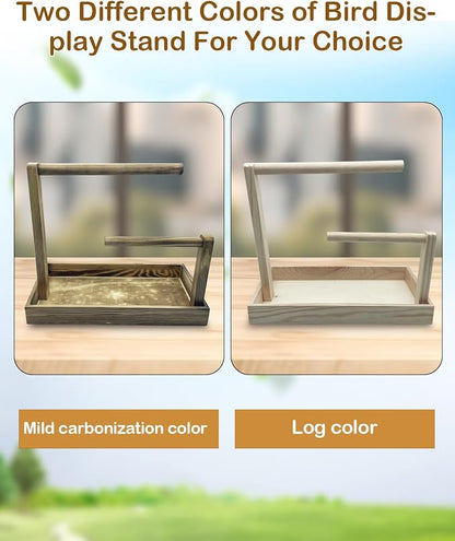 8 Pcs Small Bird Training Stand Set Portable Tabletop Birds Perch Desktop - Image 7