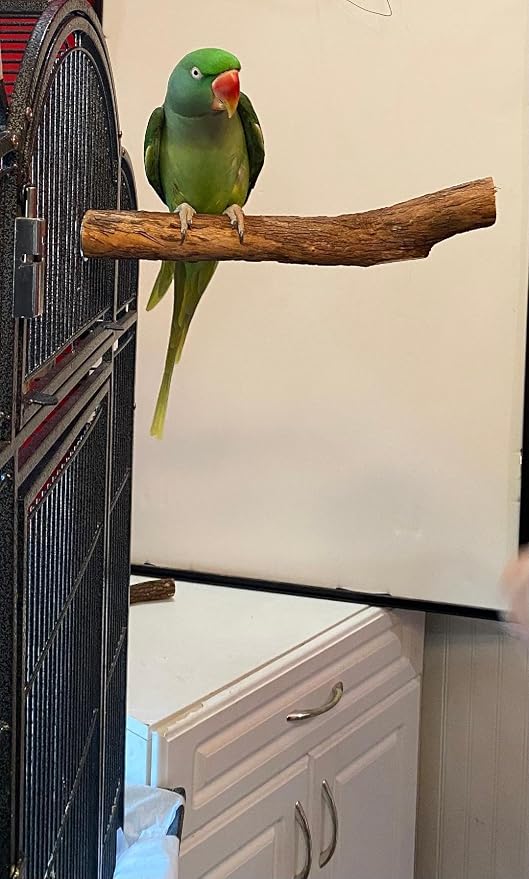 Polly's Hardwood Bird Perch - Image 5