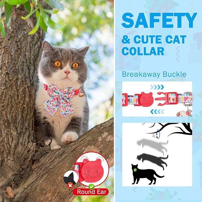 SCENEREAL Birthday Cat Collar - Image 5