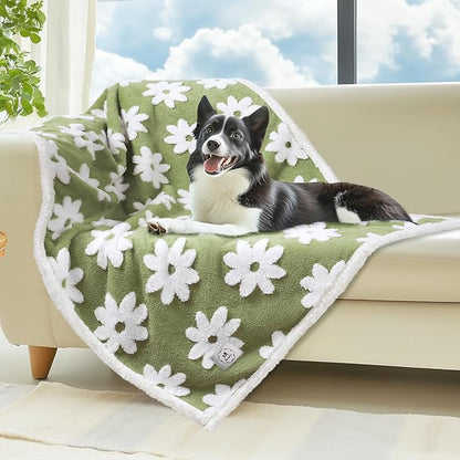 Luciphia Waterproof Pet Blanket by luciphia