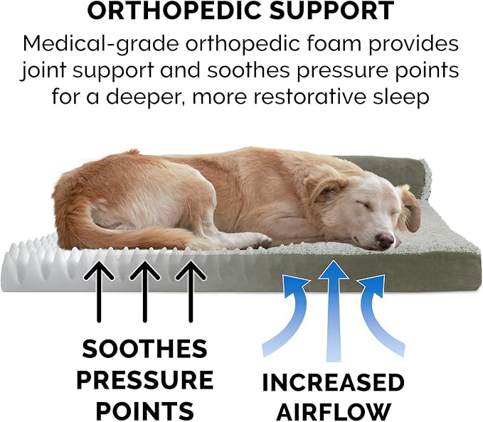Furhaven Orthopedic Dog Bed for Large/Medium Dogs w/ Removable Bolsters & - Image 5